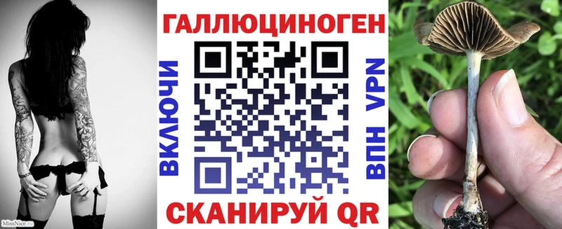 как найти   Таганрог  Псилоцибиновые грибы GOLDEN TEACHER 